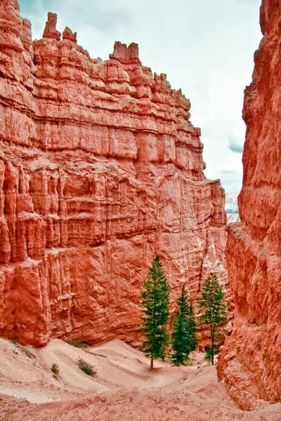 Pohled z hlediska bryce Canyon. Utah. Spojené státy americké — Stock fotografie