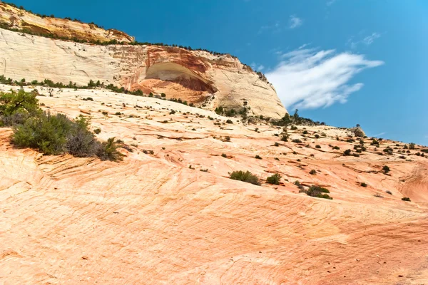 Pentes du canyon de Sion. Dans l'Utah. États-Unis . — Photo
