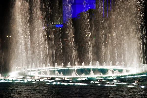 Musical fountains — Stock Photo, Image