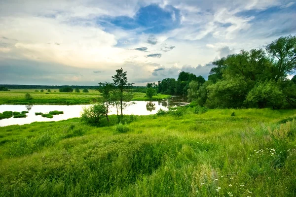 Yeşil alan — Stok fotoğraf