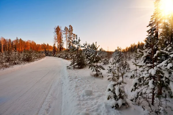 Zonsondergang in de prachtige winter — Stockfoto