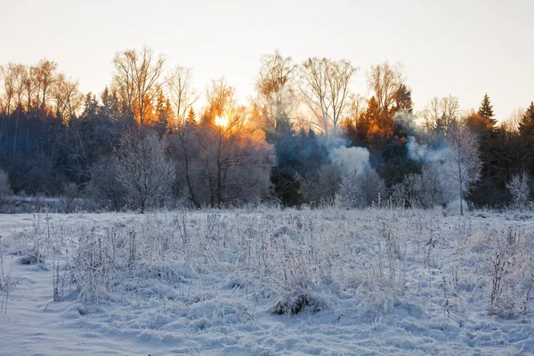 Zonsondergang in de winter veld. — Stockfoto