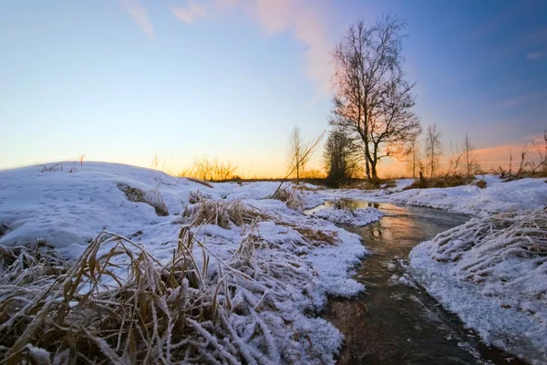 Закат в зимнем поле — стоковое фото