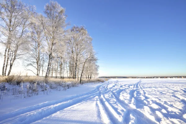 Winter field under — Stock Photo, Image