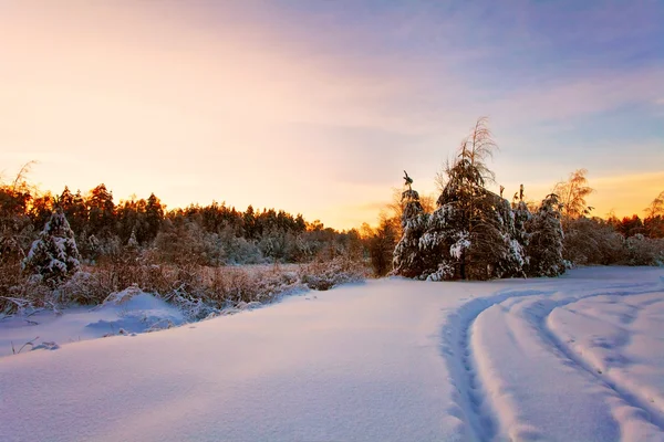 Kış alanına Sunset — Stok fotoğraf