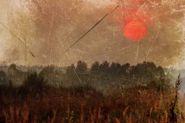 Imagen grunge del campo bajo el cielo puesta del sol —  Fotos de Stock