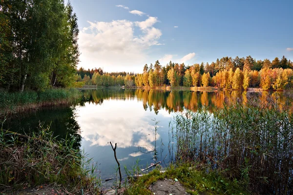 Podzimní jezero nedaleko lesa — Stock fotografie