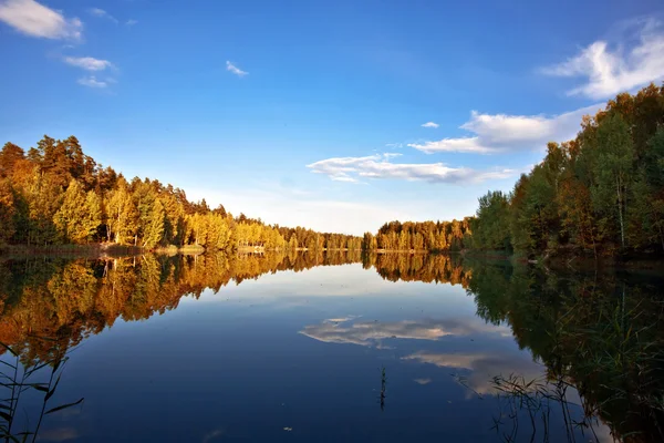 秋の湖、森の近く — ストック写真