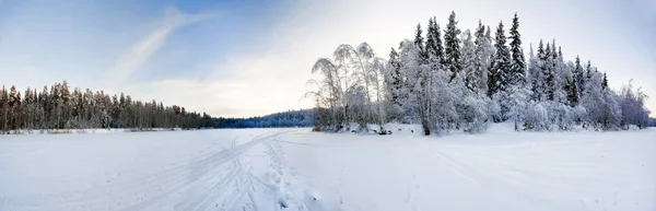 Campo de inverno — Fotografia de Stock