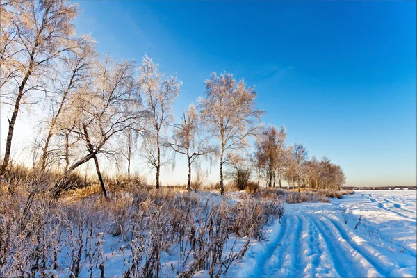 Tramonto nel campo invernale — Foto Stock