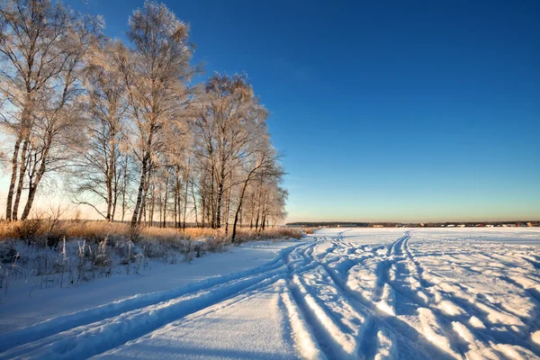 Vintern fältet under — Stockfoto
