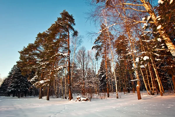 Zima pole pod — Zdjęcie stockowe