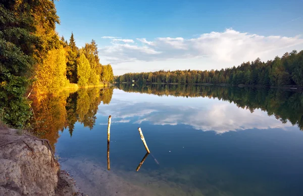 Höstlig sjö nära skogen — Stockfoto