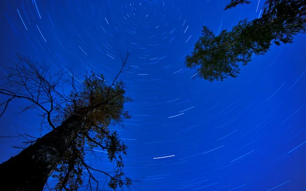 Star Trails à noite — Fotografia de Stock