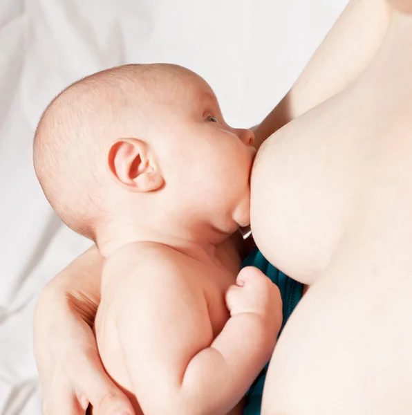 Pequeno bebê amamentando — Fotografia de Stock