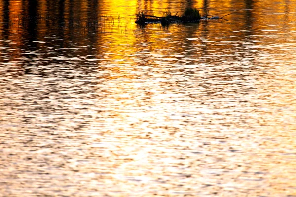 Αντανακλάσεις του ηλιοβασιλέματος στο νερό της λίμνης — Φωτογραφία Αρχείου