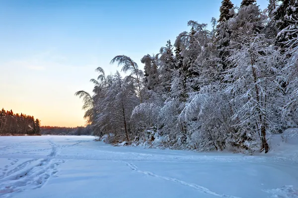 美丽的冬天日落 — 图库照片