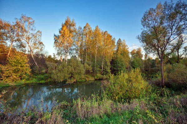 Jesienny rzeki — Zdjęcie stockowe