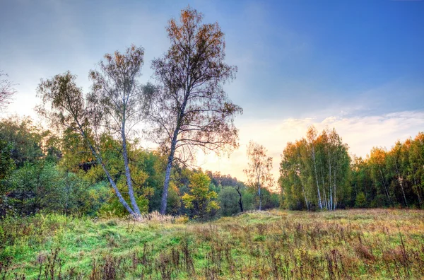 Puesta de sol en el campo de verano — Foto de Stock