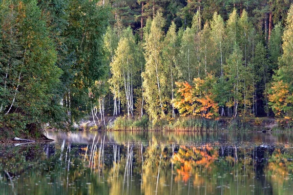秋湖附近的森林 — 图库照片