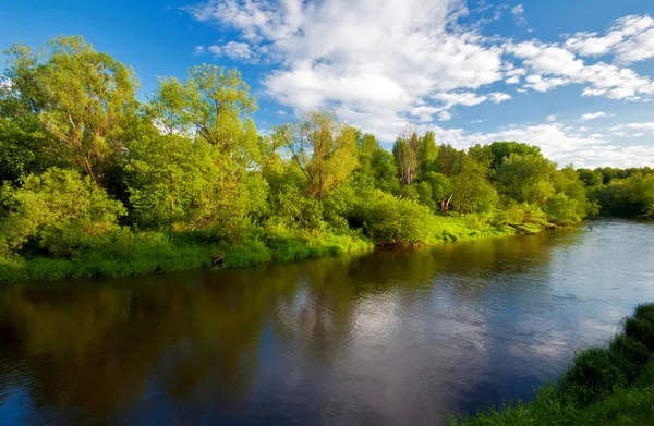 Nehir ile yeşil alan — Stok fotoğraf