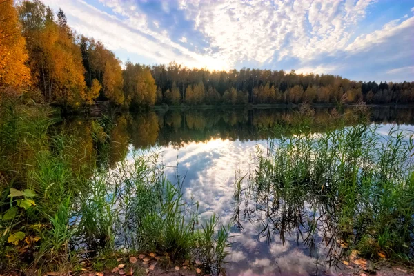 Осеннее озеро возле леса — стоковое фото