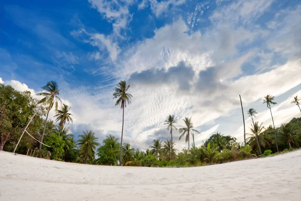 エキゾチックな熱帯のビーチ. ロイヤリティフリーのストック画像