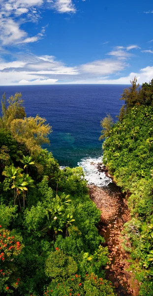 Visa på havet på den stora ön. Hawaii — Stockfoto