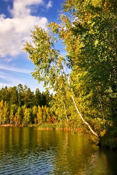 Autumnal lake Royalty Free Stock Images