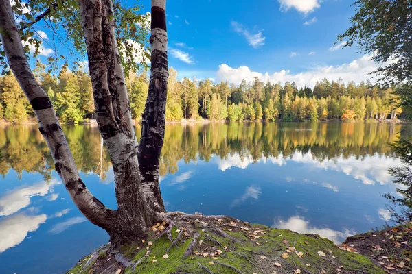 Herbstlicher See in der Nähe des Waldes Stockbild