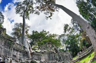 Antik khmer Budist tapınağı angkor wat kompleksi içinde