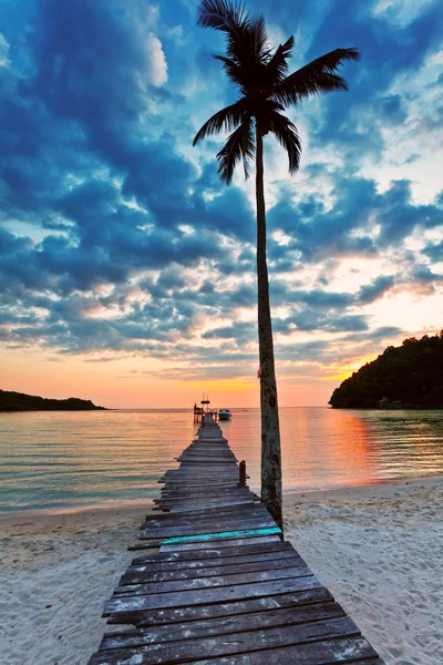 Vista de uma praia com palma e cais ao pôr do sol — Fotografia de Stock