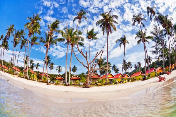 Playa tropical exótica. — Foto de Stock