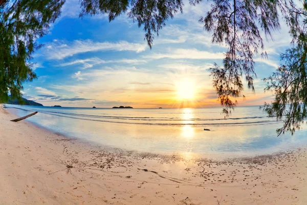 Günbatımında tropik plaj. — Stok fotoğraf