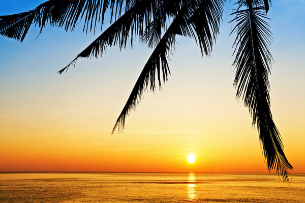 Tropical beach at beautiful sunset. Nature background