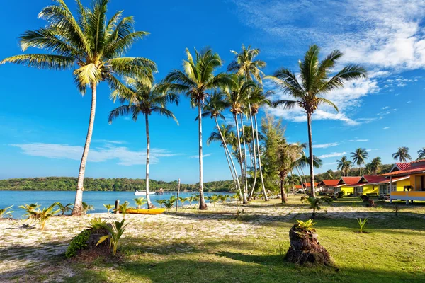 Exotic tropical beach. — Stock Photo, Image