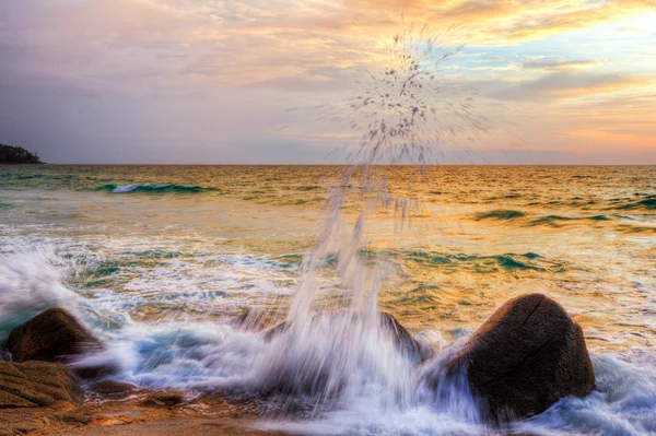 stock image Tropical colorful sunset.