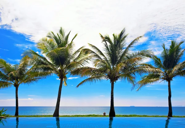 Reflecties van palmen in het zwembad — Stockfoto