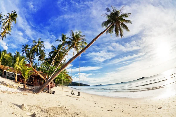 Exotisk tropisk strand. — Stockfoto