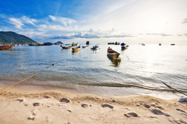 tekne tropikal deniz. Tayland