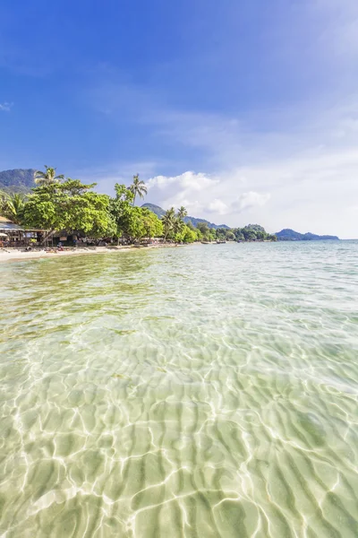 stock image Exotic tropical beach.