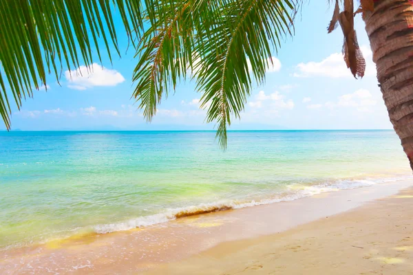 Schöner Strand mit Kokospalmen und Meer — Stockfoto