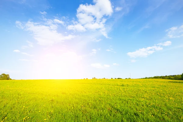 Zelené pole a modrá oblačná obloha — Stock fotografie