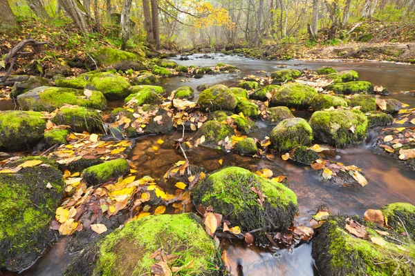 Красивий каскадний водоспад в осінньому лісі — стокове фото