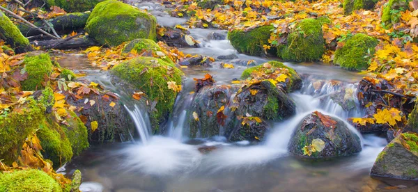 Piękny kaskadowy wodospad w jesiennym lesie — Zdjęcie stockowe