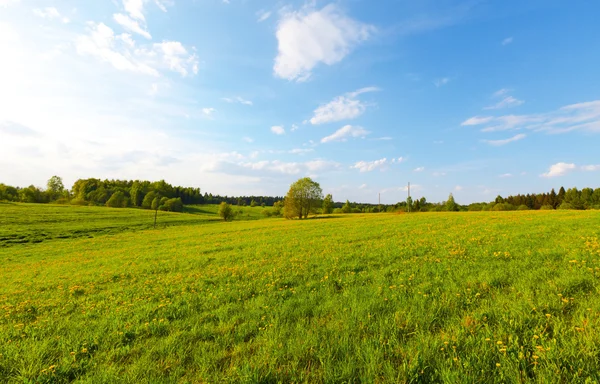 Green field under blue cloudy sky — Stock Photo, Image