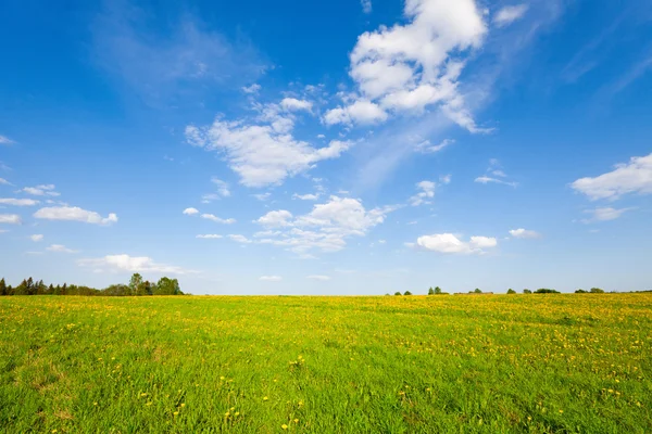 Campo verde bajo cielo azul nublado —  Fotos de Stock