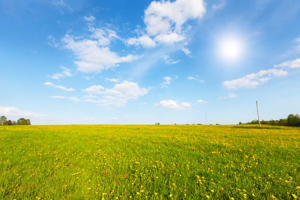 Campo verde sotto cielo nuvoloso blu — Foto Stock