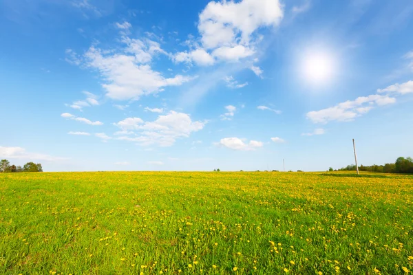 Grönt fält under blå molnig himmel — Stockfoto