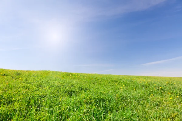 Zielone pole pod błękitne niebo pochmurne — Zdjęcie stockowe